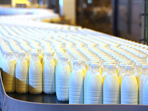 Boisson protéinée